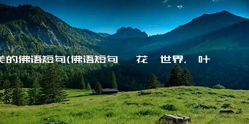 最美的佛语短句(佛语短句 一花一世界，一叶一菩提新一花一世界，一叶一菩提-佛语经典)